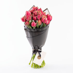 25 ad. Pembe Katmerli Lale (Columbus)